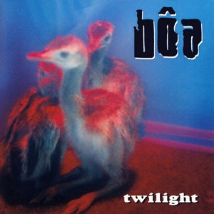 Boa – Twilight
