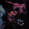 Protomartyr – Under Color of Official