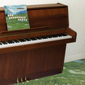 Grandaddy – Sophtware Slump.....On a Wooden Piano