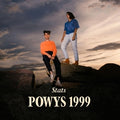 Stats – Powys 1999