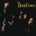 Black Crowes – Shake Your Money Maker