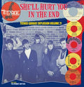 V/A – She Ll Hurt You In the End