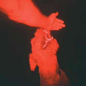 Winter, Eli – A Trick of the Light