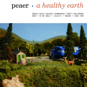 Peaer – Healthy Earth