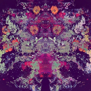 Emilie & Ogden – 10 000