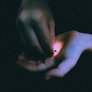 Bambara – Stray