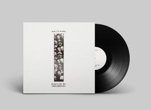 Waltzburg – Black Cat On Your Doormat